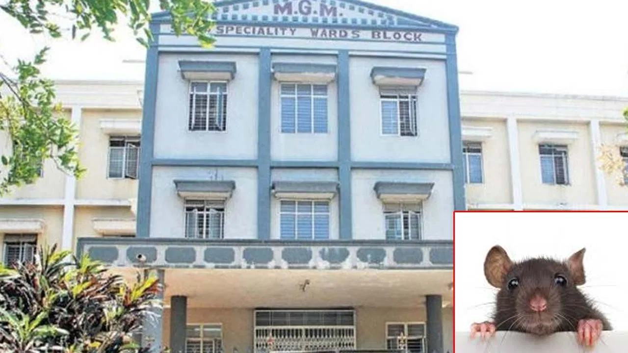 MGM Hospital